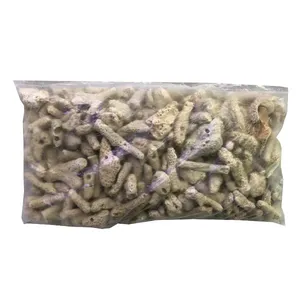 سرامیک آکواریوم برمودا مدل MJ-5 وزن 500 گرم
