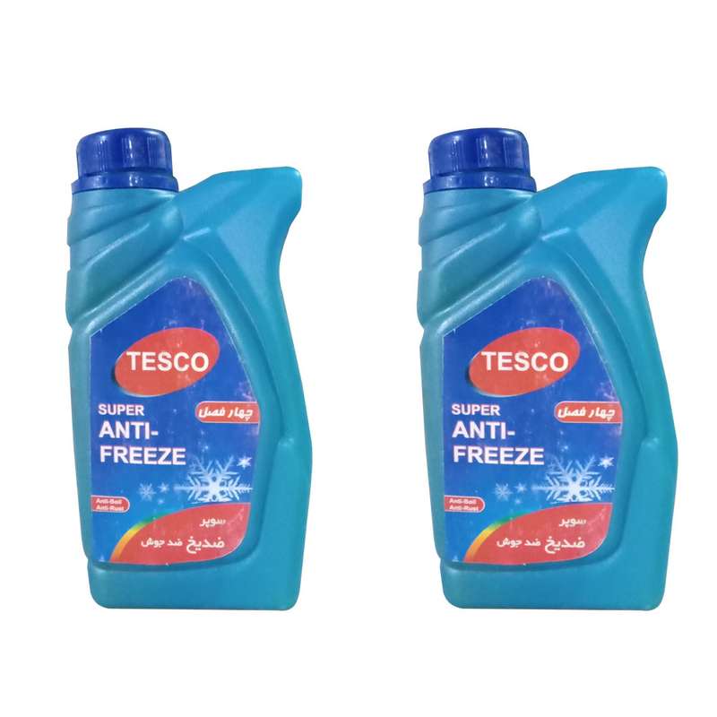 ضدیخ خودرو تسکو مدل چهار فصل AAA2 حجم 1000 میلی لیتر بسته 2 عددی