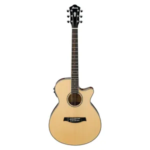 گیتار آکوستیک آیبانز مدل AEG10II NT