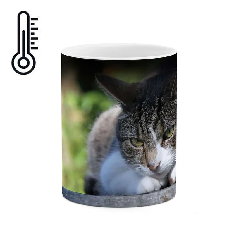 ماگ حرارتی کاکتی مدل گربه کد mgh10241