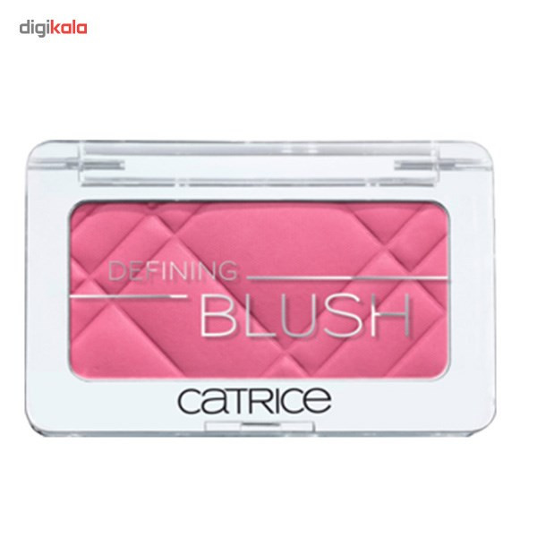رژ گونه کاتریس مدل Defining 070 رژ گونه کاتریس مدل Defining 070