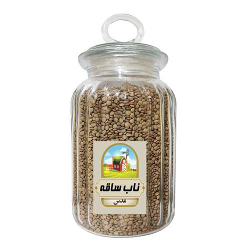 عدس ناب ساقه - 1200 گرم