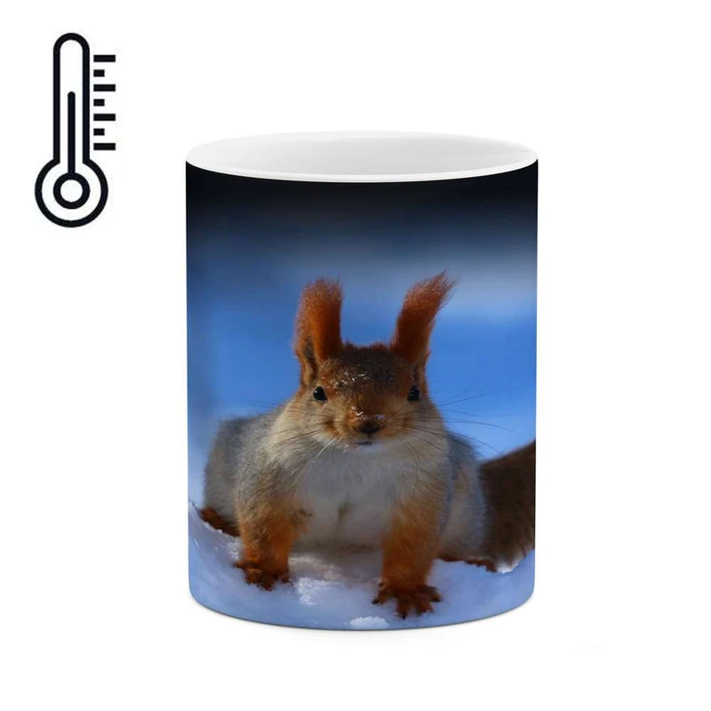 ماگ حرارتی کاکتی مدل سنجاب کد mgh17652