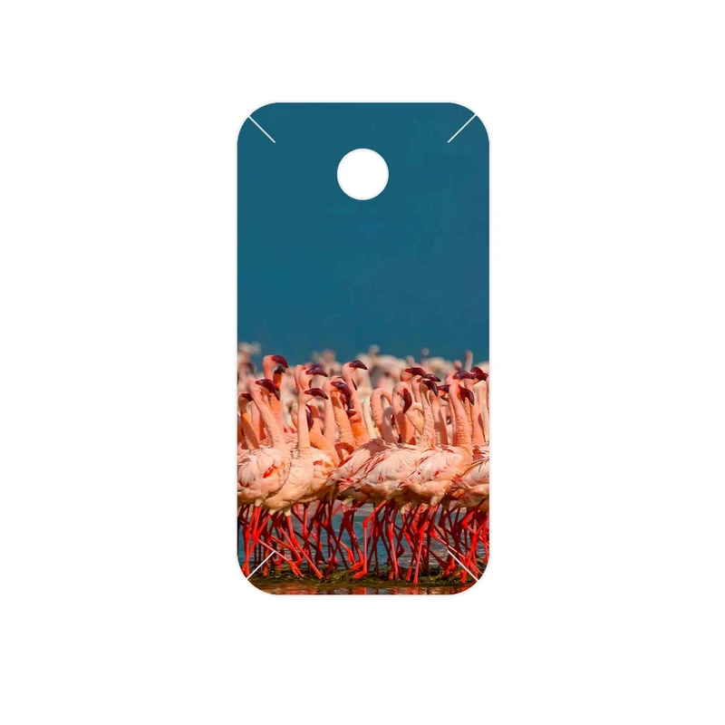 برچسب پوششی ماهوت مدل Flamingo مناسب برای گوشی موبایل هوآوی Ascend Y330