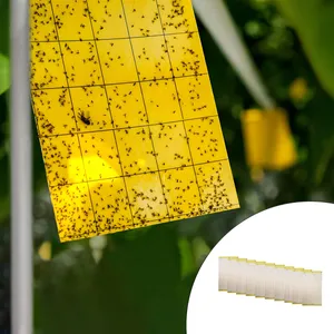 چسب حشره کش کد 200 بسته 10 عددی