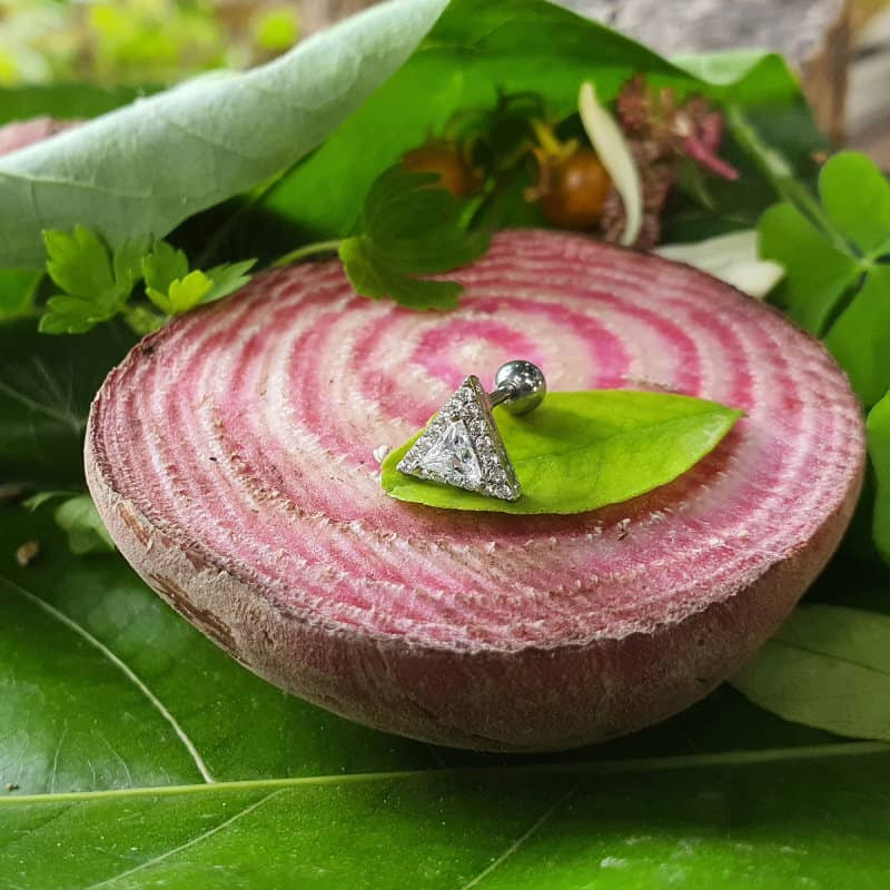 پیرسینگ گوش زنانه پایتخت مدل PS331