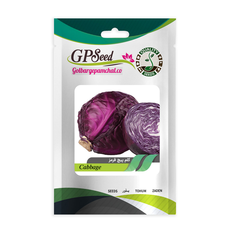 بذر کلم پیچ قرمز جی پی سید مدل GP2682