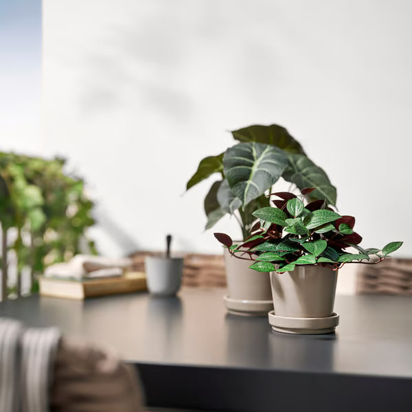 گلدان به همراه گل مصنوعی ایکیا مدل 40600868