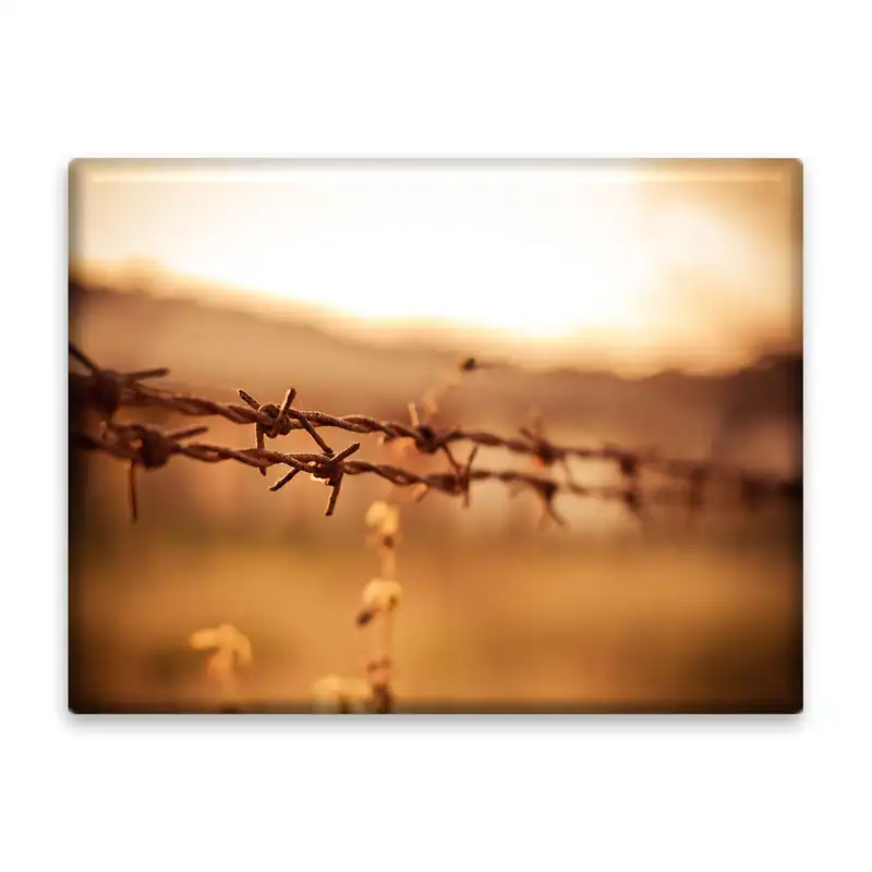 کاشی اطلس آبی طرح منظره سیم خار دار مدل T1188