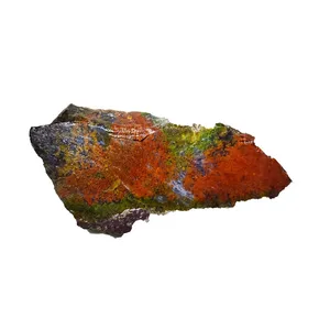 سنگ راف شجر مدل منظره جنگلی