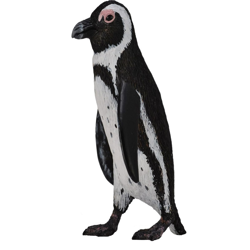 فیگور مدل پنگوئن آفریقای جنوبی