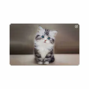 MAHOOT Cat-2 Cover Sticker for Samsung Galaxy Tab A 10.1 2019 T515