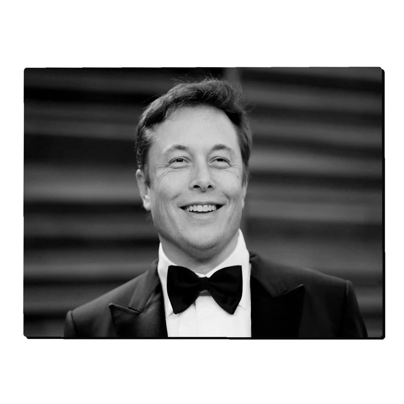 تابلو شاسی بکلیت طرح ایلان ماسک مدل SH-s1909