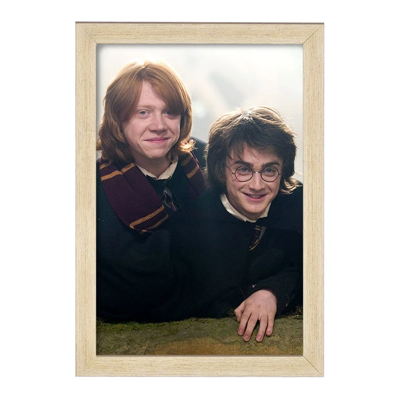 تابلو خندالو مدل هری و رون هری پاتر Harry Potter  کد 19350