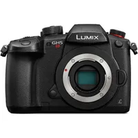 دوربین دیجیتال پاناسونیک مدل Lumix DC-GH5S