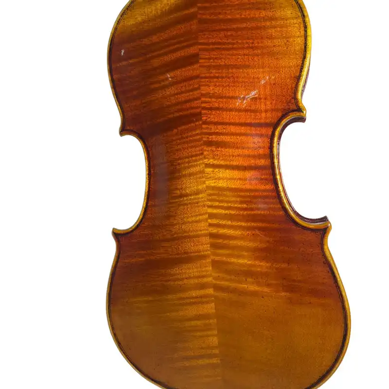 ویولن پائلو لئنری مدل M7