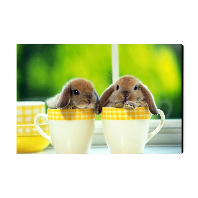 تابلو شاسی عرش مدل فانتزی خرگوش کد As3091