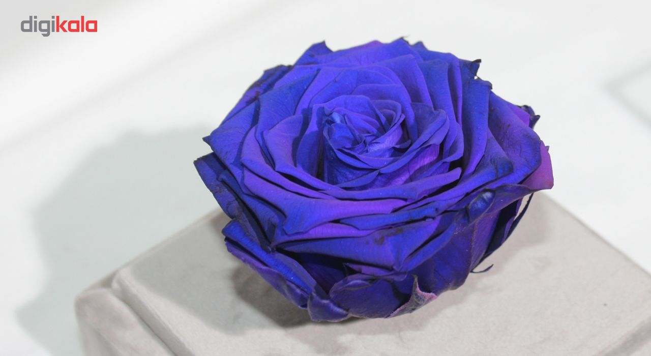 جعبه گل ماندگار گیتی باکس مدل رز جاودان آبی لاکچری ملانژ - سایز گل معمولی