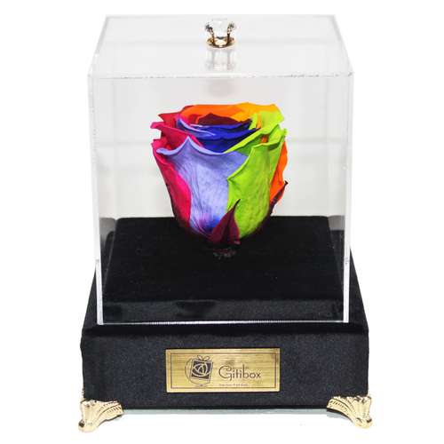 جعبه گل ماندگار گیتی باکس مدل رز جاودان 7 رنگ لاکچری آبنوس
