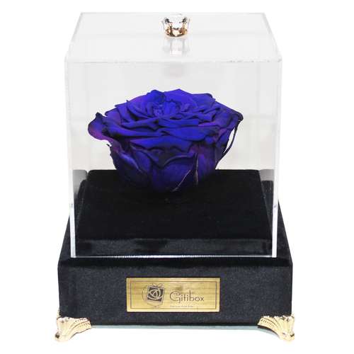 جعبه گل ماندگار گیتی باکس مدل رز جاودان آبی لاکچری آبنوس - سایز گل معمولی