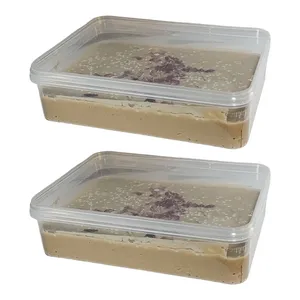 حلوا ارده با شکر قهوه ای جالینوس - 500 گرم بسته 2 عددی