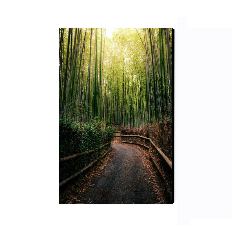 تابلو شاسی عرش طرح گردشگری ژاپن مدل جنگل بامبو آراشیاما کد As6140