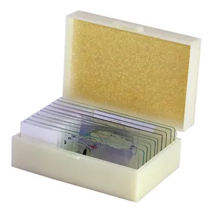 اسلاید میکروسکوپ مدل آماده زیستی بسته 10 عددی