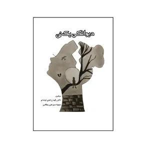 کتاب دیوانگی یک زن اثر رقیه زراعتی‌ ایده‌ لو و سهیلا سبز علی‌ یمقانی نشر کلید پژوه