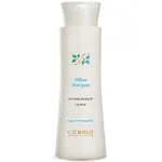 شامپو ضد شوره مو سینره مدل Anti Dandruff Willow حجم 250 میلی لیتر