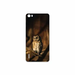MAHOOT Owl Cover Sticker for Honor 6