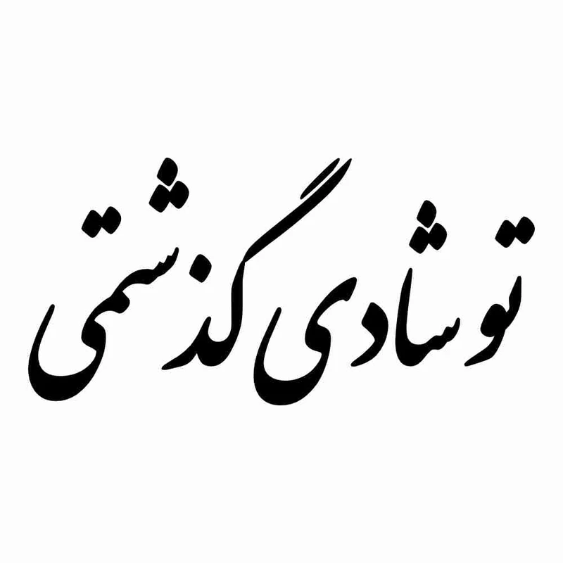 برچسب بدنه خودرو طرح تو شادی گذشتمی کد MT-B456