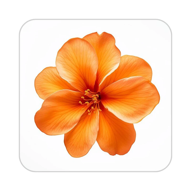 زیر لیوانی کاکتی طرح گل مدل mp16350