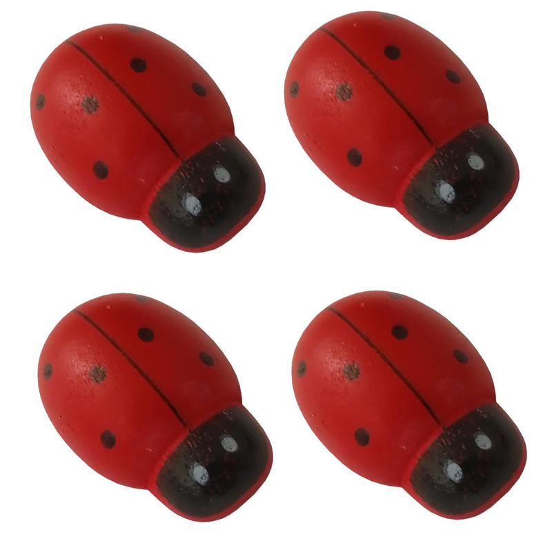 مگنت مدل كفشدوزك بسته 4 عددي