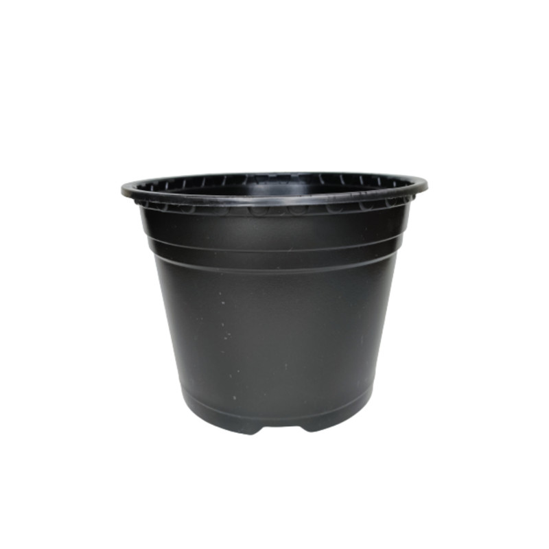 گلدان مدل ژله ای کد A_16 بسته 10 عددی