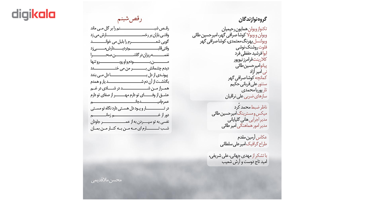 آلبوم موسیقی ره رویا اثر امیرحسین طائی