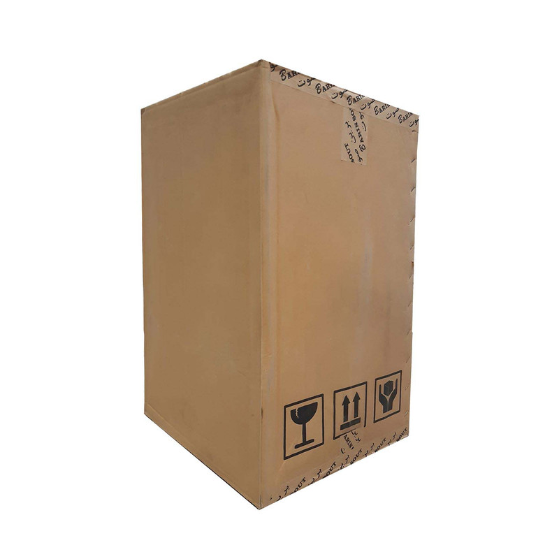 اکو همراه  برین صوت مدل 3695