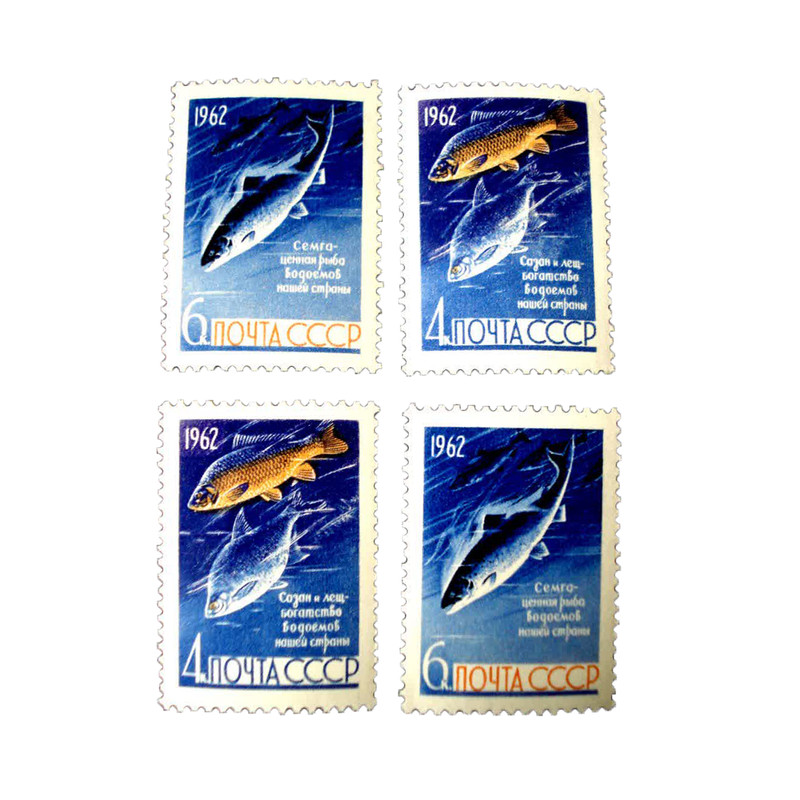 تمبر یادگاری مدل ماهی های روسیه کد DS4528 مجموعه 4 عددی