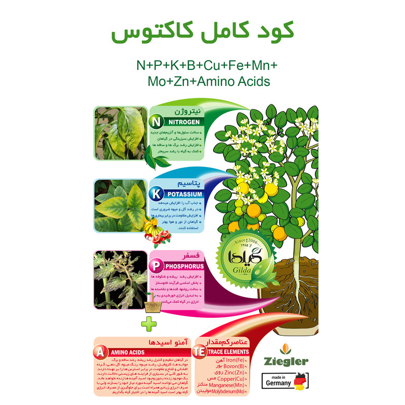 کود مایع کاکتوس گیلدا مدل GCC حجم 120 میلی لیتر