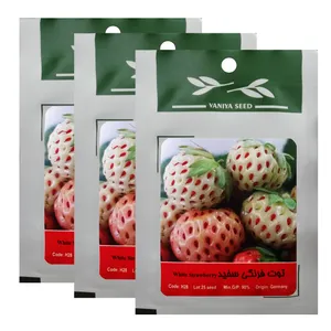 بذر توت فرنگی سفید وانیا سید کد H28 بسته 3 عددی