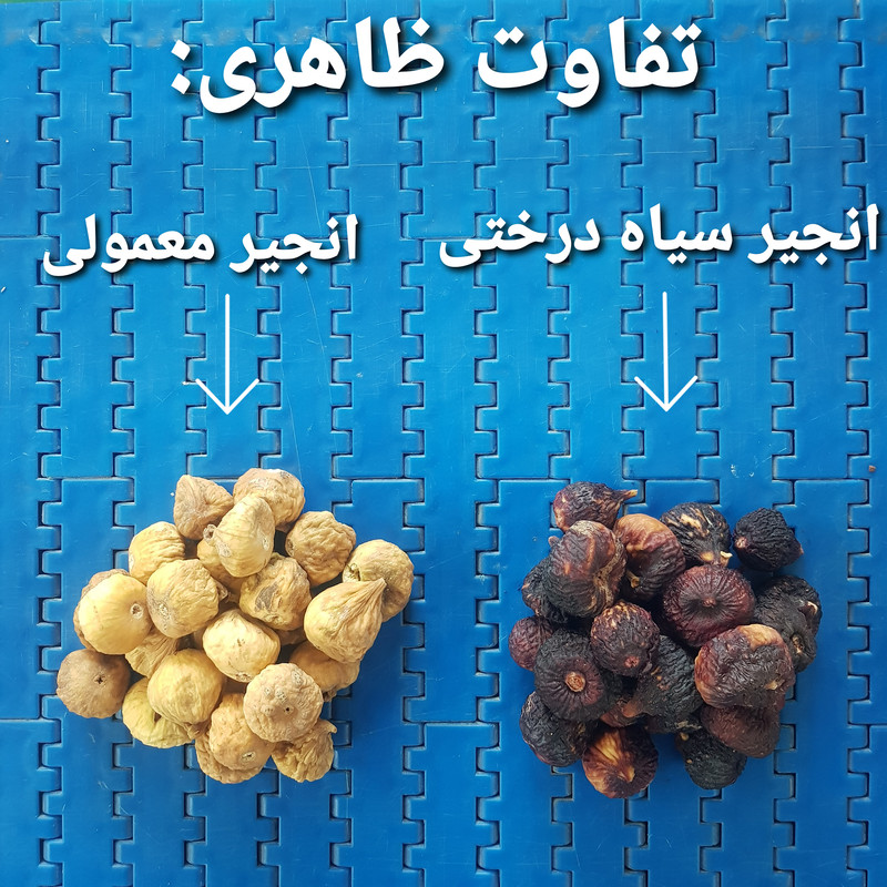  انجیر خشک سیاه درختی بازرگانی هاشمی - 3 کیلوگرم