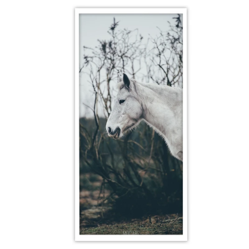تابلو بکلیت طرح حیات وحش اسب سفید مدل W-S3268