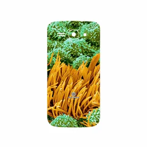 MAHOOT Atom Universe 6 Cover Sticker for Huawei Ascend Y520