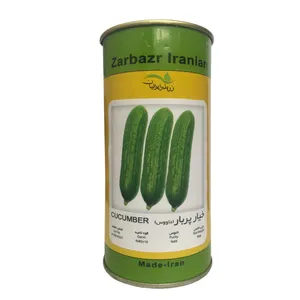 بذر خیار قلمی زر بذر ایرانیان قوطی 50 گرمی مدل پربار داووس کد GH50g-20