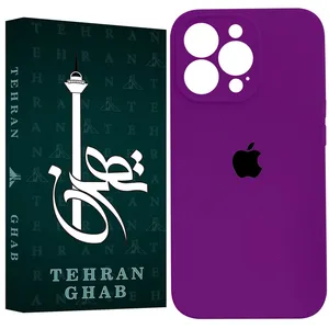 TEHRAN GHAB SILIFIT Cover For Apple iPhone 12 Pro Max