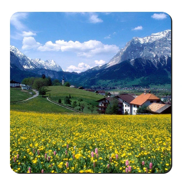 زیر لیوانی طرح بهار آلپ کد nzl656