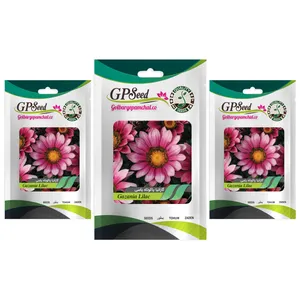 بذر گل گازانیا پاکوتاه یاسی گلدانی گلبرگ پامچال کد GPF-262 مجموعه 3 عددی