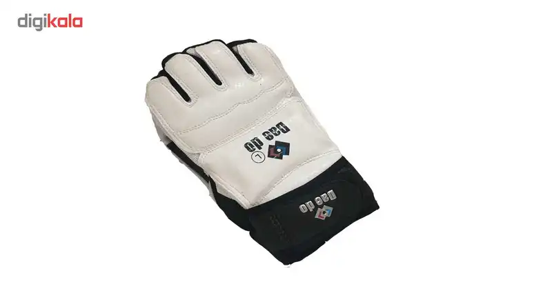 دستکش تکواندو مدل large