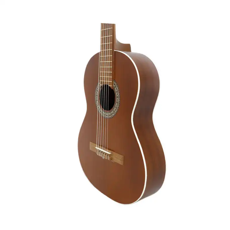 گیتار پارسی مدل p40