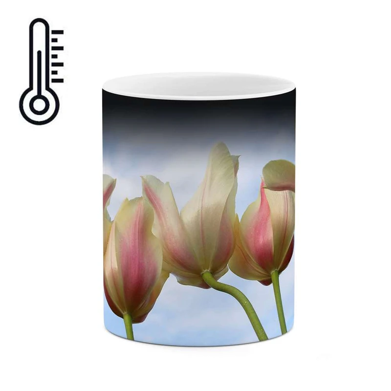 ماگ حرارتی کاکتی مدل گل کد mgh12019