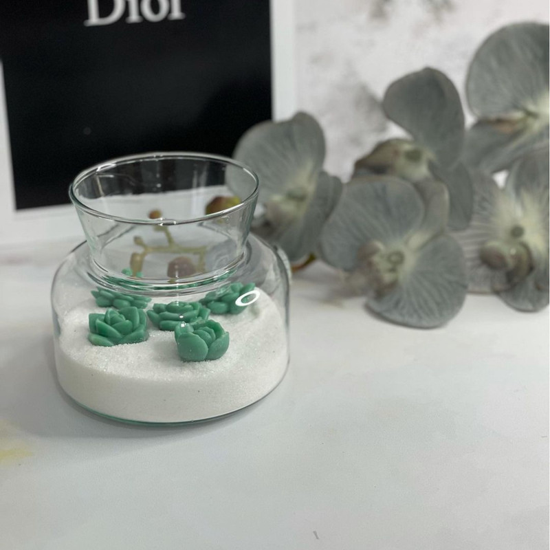 قالب شمع مدل کاکتوس مینیاتوری 5 تایی